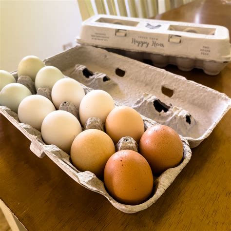 Free Range Eggs – Nourished Market