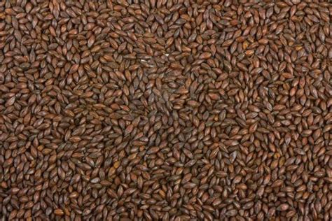 Brewing Ingredients - Brewing Grains - Base Malt - Page 1 - Farmhouse ...