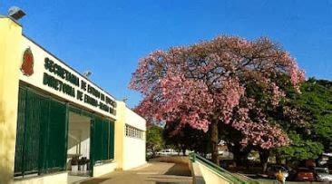 Diretoria De Ensino Regi O Bauru Rua Campos Salles Vila Falcao