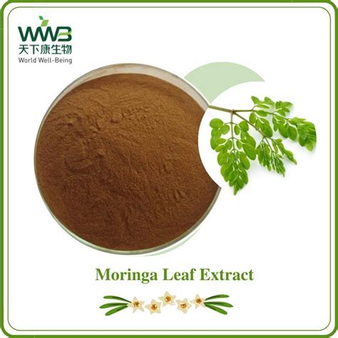 World Well Being 100 Natural Moringa Oleifera Leaf Extract China