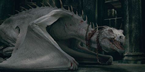 Discover The Rarest Dragon In Harry Potter S World