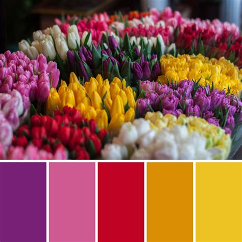 Spring Colour Palettes Hex Codes Mean Creative