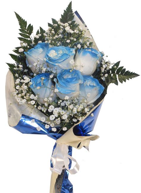 Enviar Ramo de 6 rosas azules - Envíos de flores Graficflower