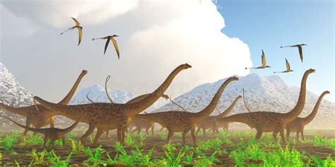 Diplodocus Dinosaur Full Skeleton Photo Realistc Rendering Stock Illustration Illustration Of