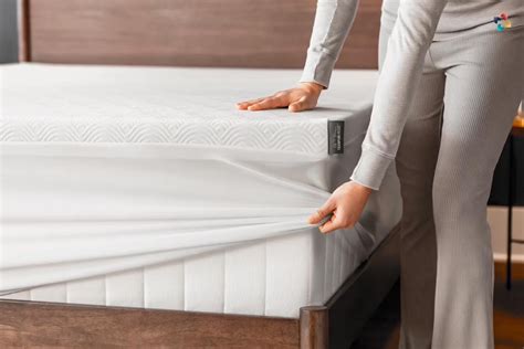 Best Mattress Toppers For Back Pain The Lifesciences Magazine