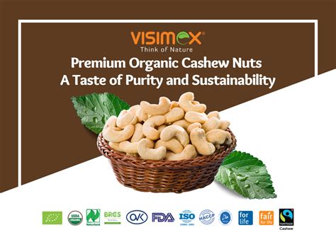 Premium Organic Cashew Nuts A Taste Of Purity And Sustainability