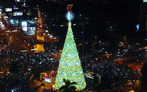 El Festival Rbol Gallo Encender El Esp Ritu Navide O En