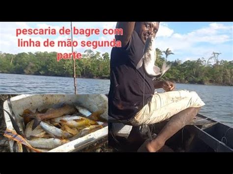 Pescaria De Bagre Linha De M O Parte Youtube