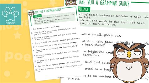 Teacher S Pet Grammar Guru Challenge Expanded Noun Phrases