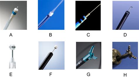 Endoscopic Submucosal Dissection For Colorectal Lesions Techniques In Gastrointestinal Endoscopy