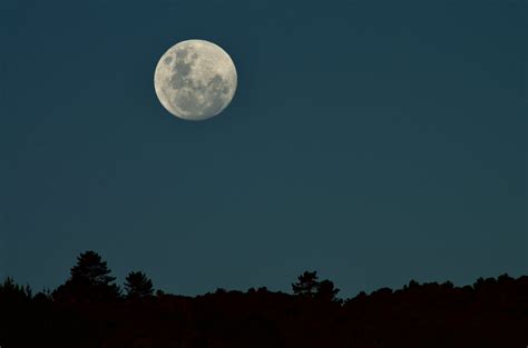 A Clear Full Moon In The Sky · Free Stock Photo