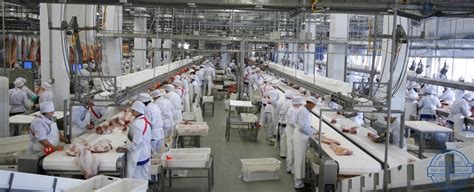 Оборудование для пищевой промышленности – купить пищевое оборудование в ...