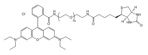 Rb Peg Biotin B Rhodamine B Peg Biotin Udp Mof