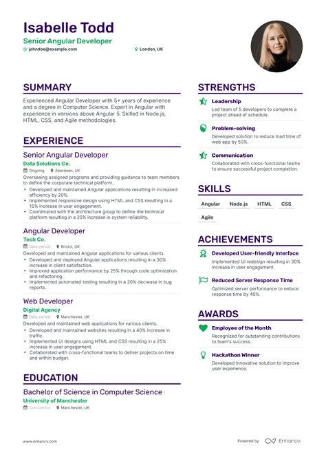 Angular Developer Resume Examples Guide For