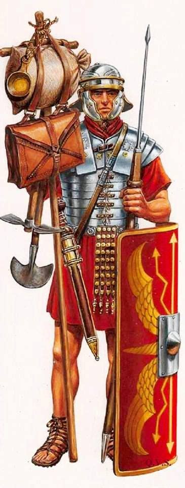 Легионер в походе ️individual Roman Legion Banners ️more Pins Like This