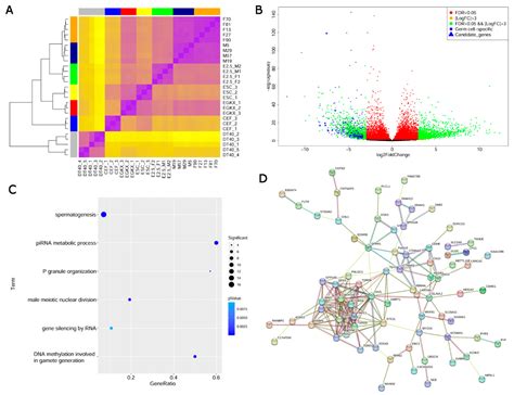 Cells Free Full Text The Transcriptome Of Chicken Migratory