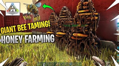 Taming Giant Bees And Starting A Honey Farm Ark Lost Island Youtube