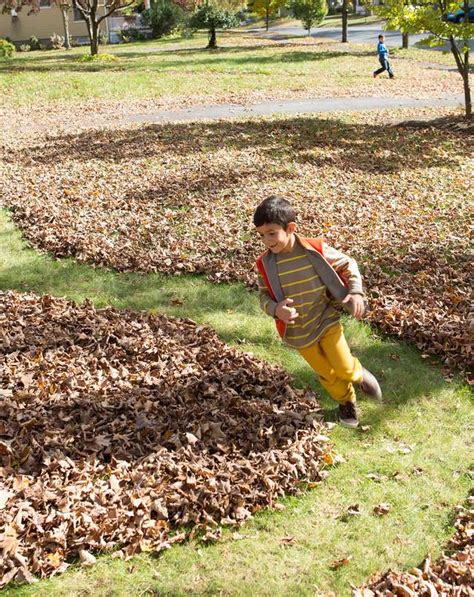 37 Creative Outdoor Games For Kids How To Throw An Epic Backyard Bash