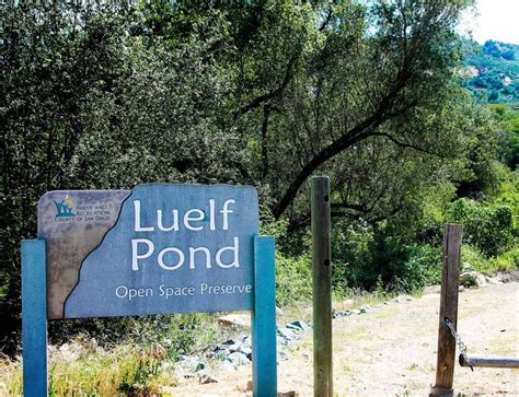 Luelf Pond County Preserve Pond Parks And Recreation San Diego