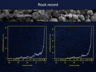 Comparing The Deep Sea Rock And Fossil Records Of Coccolithophores And