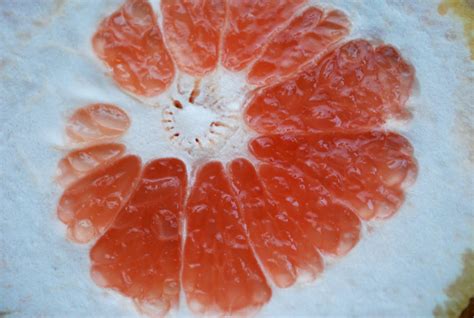 grapefruit tart - Brooklyn Supper