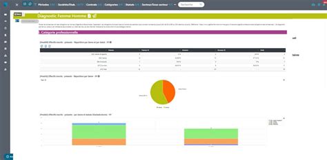 Exemple Tableau De Bord Index Egalite Homme Femme QuickMS