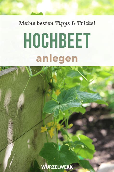 Hochbeet Anlegen Ultimativer Guide Wurzelwerk