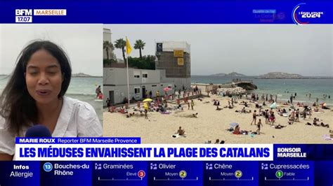 Marseille la plage des Catalans envahie par les méduses