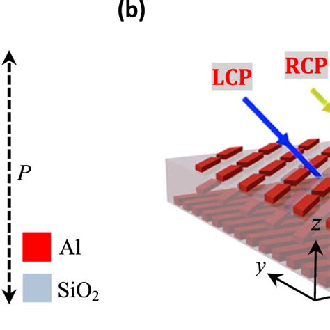 Design Schematics A Top View Of The Unit Cell And B Anisotropic