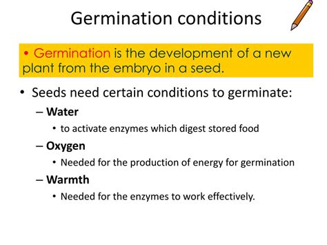 Ppt Flowering Plant Sex Powerpoint Presentation Free Download Id2364011