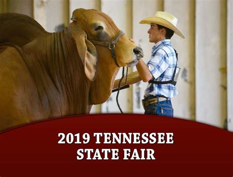 tennessee state fair  brahman journal