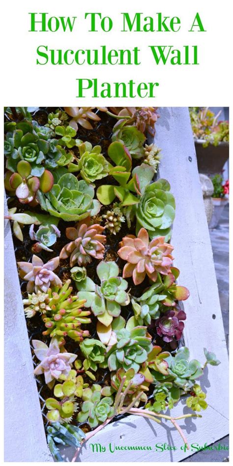 Diy Hanging Succulent Planter Succulent Wall Planter Succulent