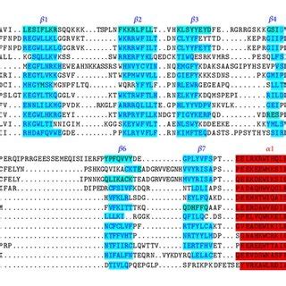 Three Dimensional Structure Based Sequence Alignment Of Ph Domains By