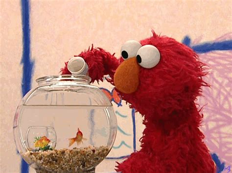 Elmo GIF - Find & Share on GIPHY