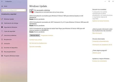 Parches De Seguridad Para Windows Y Adobe De Enero De 2019