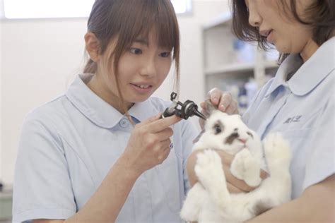 高崎動物専門学校 来校型オープンキャンパス 学校法人mgl学園 高崎動物専門学校太田動物専門学校