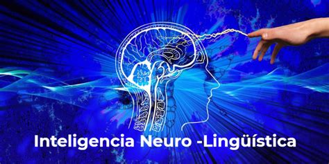 Ciclo Inteligencia Neuro Ling Stica Pnl