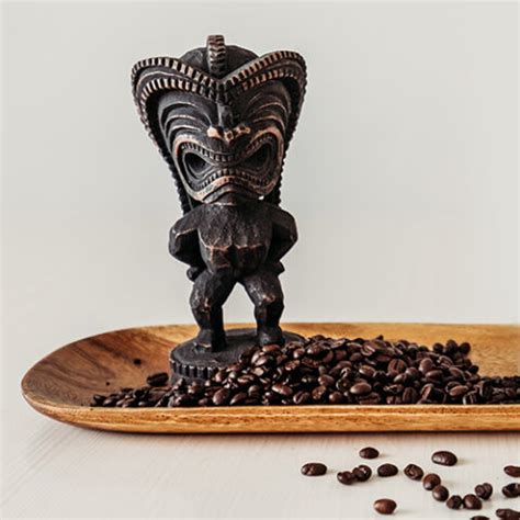 Chocolate Covered Kona Coffee Beans – Donkey Balls