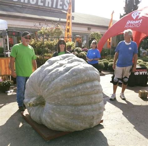 World Record Squash Grown By Ohio Couple Crowned At Dublin Weigh Off