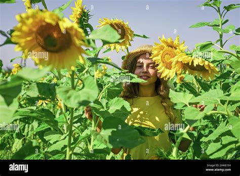 Girl Having Fun Between Sunflowers Blue Sky Background Harvesting