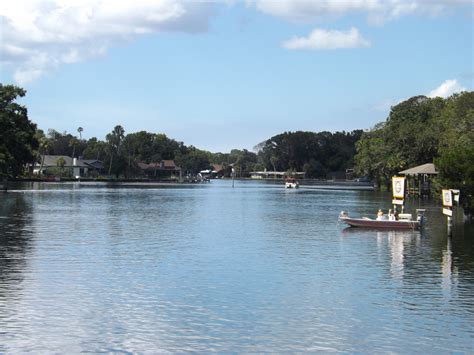 Homosassa River — Weasyl