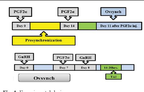 Figure 1 From Impact Of Presynchronization And Ovsynch On Early