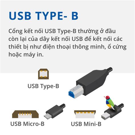 Cách Dễ Dàng để Phân Biệt Các Loại Cổng Usb Tin Tức Macstore