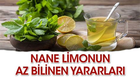 Nane Limon Neden Yararl