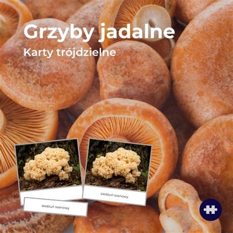 Grzyby Jadalne Karty Tr Jdzielne