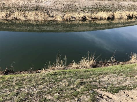 What Does a Drought Year Mean for Grapes? – Paradisos del Sol Winery