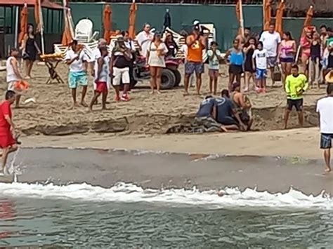 Capturan A Cocodrilo De Tres Metros En Playa De Oro Vallartavive