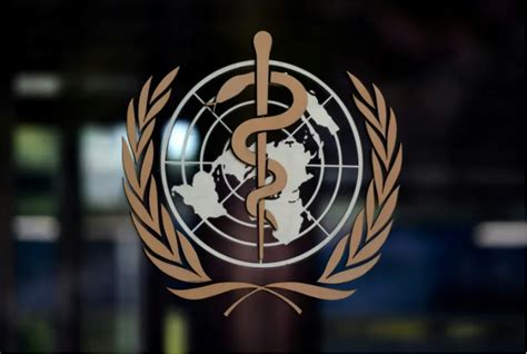 Las Negociaciones En La Organización Mundial De La Salud Oms Para Un