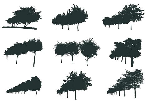 Set of forest trees silhouettes 11754889 Vector Art at Vecteezy