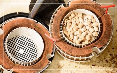 how often to clean a canister filter